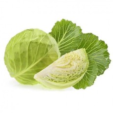 Rau bắp cải OCOP