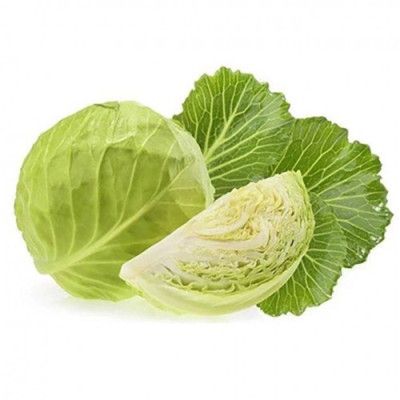 Rau bắp cải OCOP